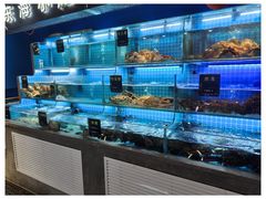 -鸽子侯·家宴·平价海鲜(市图书馆店)