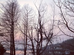 -句容茅山景区