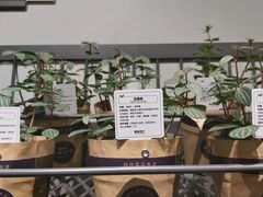 -鹿岛会员店 (龙湖三千集天街店)