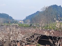 -樱桃山旅游景区