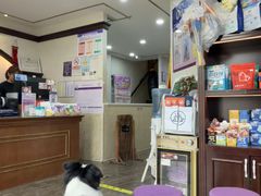 -宠爱国际动物医院·消化内科·心肾内科·ISFM猫友好(望京店)