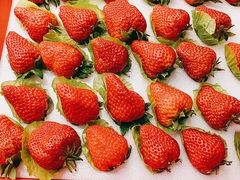 -旺顺阁海鲜广场(亚运村店)