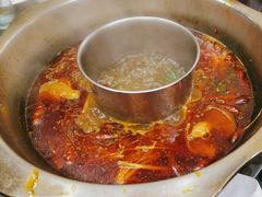 -金鼎雪山牦牛杂火锅(理县总店)
