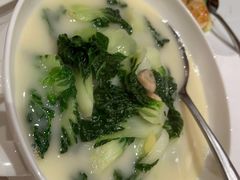 白菜仔-东富酒家(龙湖西溪天街店)