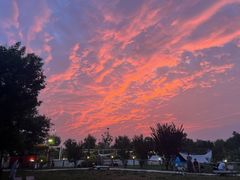 -爪吧宠物乐园 (温榆河示范区店)