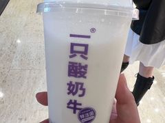 -一只酸奶牛(时代天街A馆店)