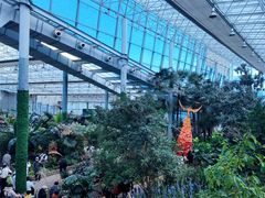 -沈阳植物园