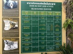 -清迈夜间动物园