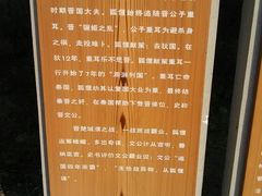 -五龙城郊森林公园