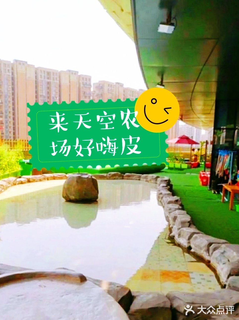 杭州暑假遛娃打卡在天空中的农场