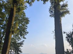 -莫干山风景区