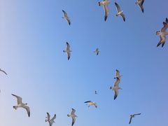 -大连老虎滩海洋公园