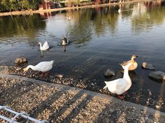 -同济大学(嘉定校区)