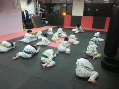 -金翼跆拳道巴西柔术拳击格斗学院