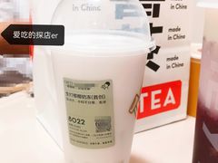 热生打椰椰奶冻-喜茶(振华商厦店)