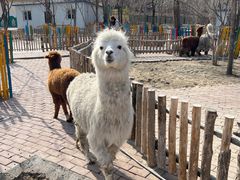 -水上乐园·欢乐世界