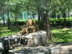 -秦皇岛野生动物园