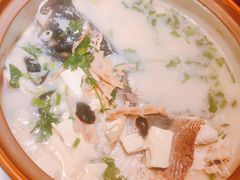 姜君千岛湖鱼头-姜君·千岛湖鱼头馆(浦东大道店)