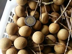 -东方鼎信农副产品交易中心