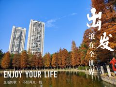 -金花茶公园