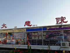 -海河游船-永乐码头(大悲院)