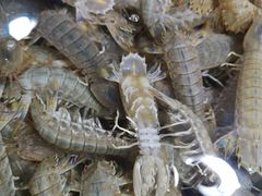 -无锡天鹏食品城