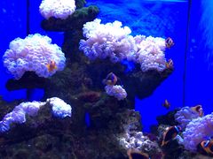 -多彩贵州城极地海洋世界