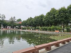 -四川大学(望江校区)