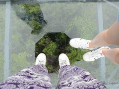 -呀诺达热带雨林