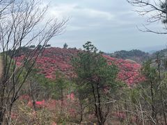 -木兰云雾山