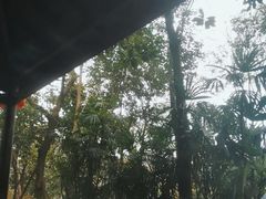 -青城道汤池
