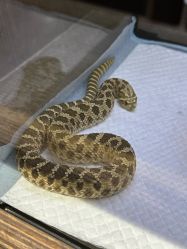 -Zoolung Zoolung动物主题公园(海信广场店)