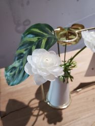 -卡莫瑜伽·普拉提