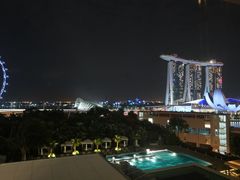 -新加坡文华东方酒店