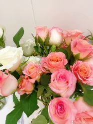 -亚太瑜伽普拉提学院