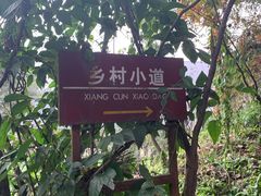 -重庆南山海昌汤都