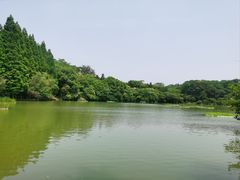 -天生桥景区