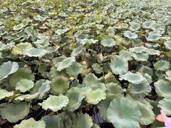 -北京天湖会议中心