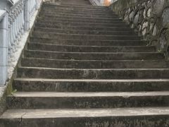 -半月镰胡姐脆皮萝卜饺子
