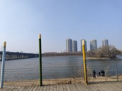 -长白岛森林公园