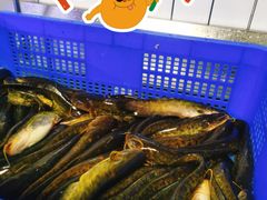 -石锅苗苗鱼(武汉首店)
