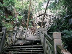 -南宁良凤江国家森林公园