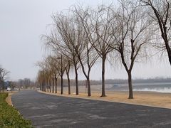 -象湖生态湿地公园