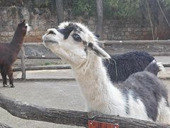 -昆明动物园