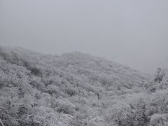 -牛背梁国家森林公园