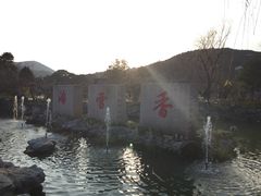 -香雪海