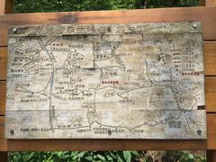 -青龙山国家森林公园