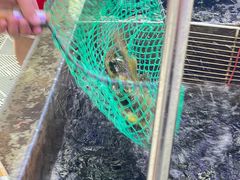-夏家大锅台炖鱼馆