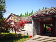 -金岛生态园烧烤露营地