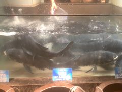 -上名堂·鱼头好吃(体育场路店)